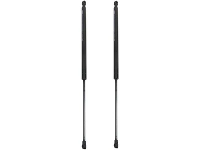 For 2001-2005 BMW 325xi Liftgate Lift Support Set 94694GMHX 2002 2003 2004 Wagon Foto 1 de 2