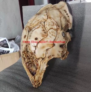 1/1 Movie Prop Replica：Predator 5 Bone Mask Wild Statue Model Collection Toys - Picture 1 of 3
