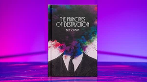 Principi di distruzione di Ben Seidman - Foto 1 di 6