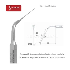 Punta de pájaro carpintero E60 para escalador ultrasónico dental EMS raíces riego de canales, 1 pieza - Imagen 1 de 7