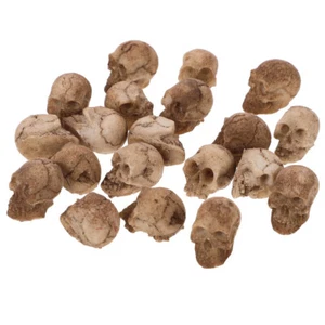 Accesorios de calavera de miedo divertidos premium de 20 piezas para decoración de calavera artificial fiesta - Imagen 1 de 12