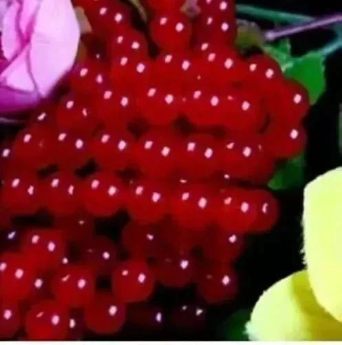 AAA 8mm ágata roja redonda piedra preciosa suelta 15 pulgadas05 Foto 1 de 1