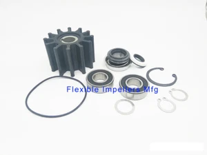 Minor Repair Kit Replaces Sherwood 23976 Plus Bearings For P1014 P1015 P1016 - Picture 1 of 2