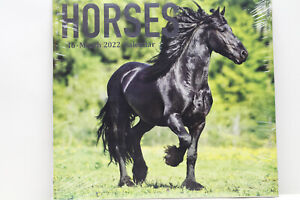 Horses Calendar 16 Month 2022 By Paper Craft New