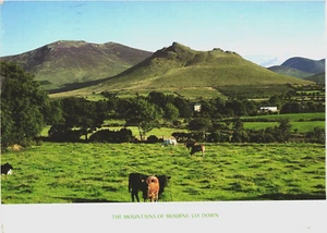 Postcard:  The Mountains of Mourne in County Down --- Northern Ireland - Picture 1 of 2