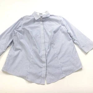 Talbots Wrinkle Resistant Plus 16W Women's Button Long Sleeve Dress Shirt Blue - Picture 1 of 11