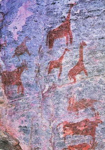 Botswana Africa Tsodilo Hills Bushmen Paintings Vintage Postcard - Picture 1 of 2