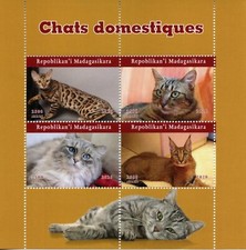 Madagascar Cats Stamps 2020 MNH Cat Domestic Animals Pets 4v M/S