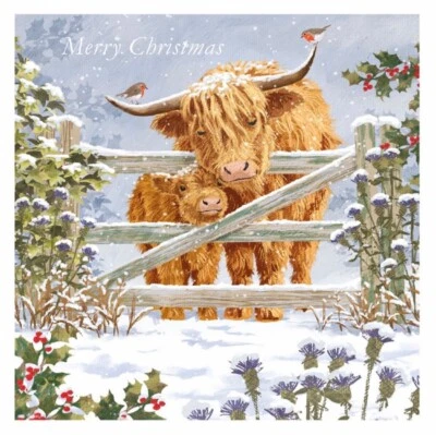 Highland Cows At Christmas ~ Charity Christmas Card ~ SINGLE CARD~See Desc