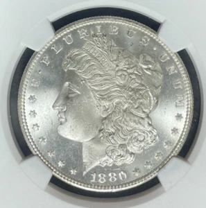Dólar de plata Morgan 1880/9 S~NGC MS 64 VAM 11 COLECCIÓN LEGADO REF#49-002 - Imagen 1 de 4