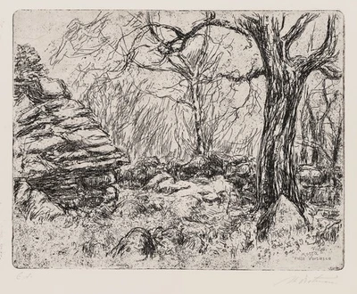 H. DIETMANN (1924-2009), Valle Verzasca. Tal in der Schweiz, Rad. Expressionismu - Bild 1 von 4