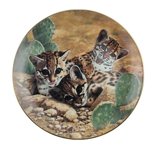 Small Wonders of the Wild CHARLES FRACE Eyes of Wonder Baby Cat PLATE Hamilton  - Picture 1 of 12