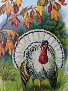 Lot 4 TURKEY THANKSGIVING POSTCARDS Embossed NY IA WI Antique - Picture 1 of 6