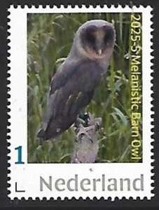 Niederlande 2025-5 Eulen: Melanistisches Barnowl Kleinbogen postfrisch G - Bild 1 von 1