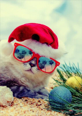 Tarjeta de Navidad LPG Greetings Cool Cat con sombrero de Santa y gafas de sol rojas en la playa Foto 1 de 2