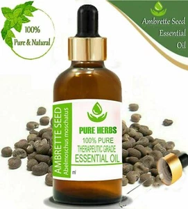 Pure Herbs Ambrette Seed 100%Pure & Natural Abelmoschus moschatus Essential Oil - Picture 1 of 14