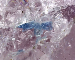 PHOPSPHOELLENBERGERITE from Italy * TYPE LOCALITY SPECIMEN * 2,5 cm - Picture 1 of 5