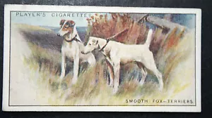 Foxterrier glatt beschichtet Vintage 1924 illustrierte Hundekarte EE31M - Bild 1 von 1