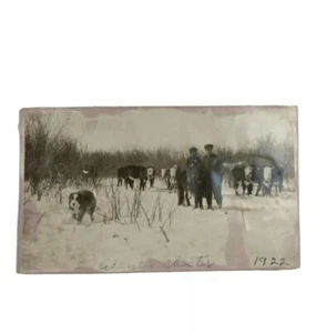 Vintage Snapshot Photograph of a Father, Son & Dog Herding Cattle 2.5"x4" - Picture 1 of 4