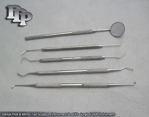 1 Set Dental Pick & Mirror Tool Sculpture Instrument Oral Kit Tooth Teeth PR-163 - Picture 1 of 3