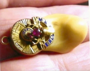 elks tooth 14k gold ruby pendant, charm or watch bob 5.8 grams - Picture 1 of 2
