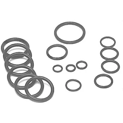 2V0009 Seal Kit for SBA22 & SBAF2 Two Spool Valve - Image 1 of 4