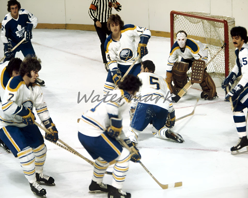 Fotografía Buffalo Sabres French Connection Perreault Martin Robert color 8 X 10 Foto 1 de 1