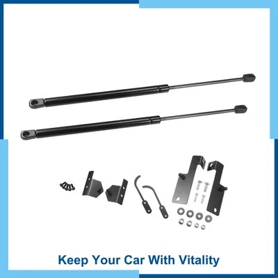 Paquete (2) Soportes de elevación del capó delantero puntales resorte de gasolina para Jeep Wrangler JK 07-18 Foto 1 de 4