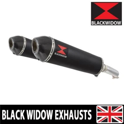 VTR1000F SC36 Firestorm / Superhawk FV-F6 97-06 Twin Exhaust Silencer Kit BC40V - Image 1 of 4