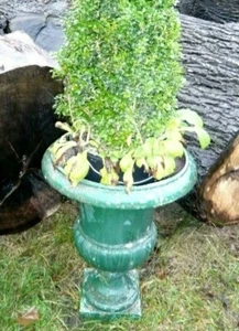 Vase Vasen Blumentopf Garten Steinvase Gußvase Pflanzgefäß Henkelvase Gartenvase - Picture 1 of 3