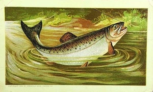 Antique Victorian Advertising Trading Card For "Arbuckle Bros. Coffee Co." #7062 - Picture 1 of 12