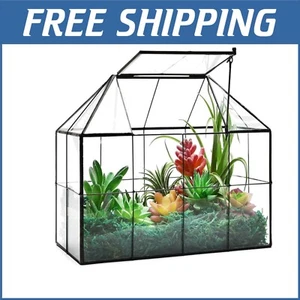 Stylish House Shape Glass Terrarium with Swing Lid - Ideal for Succulents & More - Picture 1 of 9
