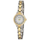 Laura Ashley Ladies Mini Bracelet Coin Edge Bezel Watch Comes in a Free Gift Box