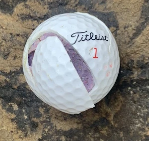 Titleist Sliced Golf Ball. Used - Picture 1 of 4