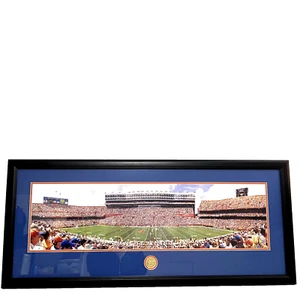 University of Florida- Ben Hill Griffin Stadium Print 42”L X 19”H Custom Framed - Picture 1 of 12