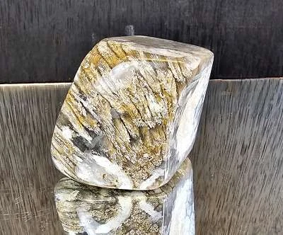 Rare Agate Coral Crystal Fossil - UK   (#6) - Image 1 of 4