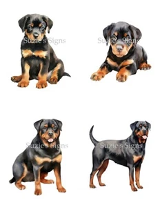 4- Rottweiler Stoffblöcke sitzende stehende Erwachsene und Welpen - Bild 1 von 1