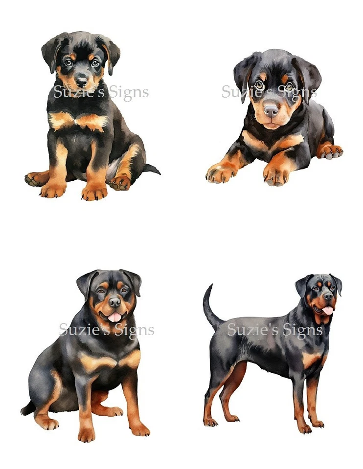 4- Rottweiler Fabric Blocks Sitting Standing Adults and Puppies - Image 1 of 1