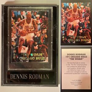 Dennis Rodman Chicago Bulls NBA "The Worm" 95-96 Trading Card with Wood Plaque 