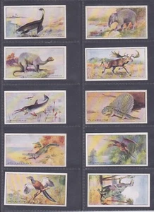 24/25 cards PREHISTORIC ANIMALS by Demaret Caramels 1960s? exc - Picture 1 of 6