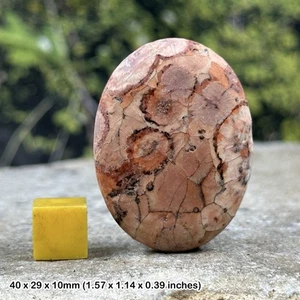 Fish Eye Jasper Palm Stone Worry Stone Crystal Healing - Genuine Specimen with - Picture 1 of 1