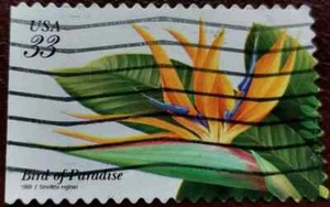 United States: 1999 Tropical Plants 33 C. (Collectible Stamp). - Picture 1 of 1