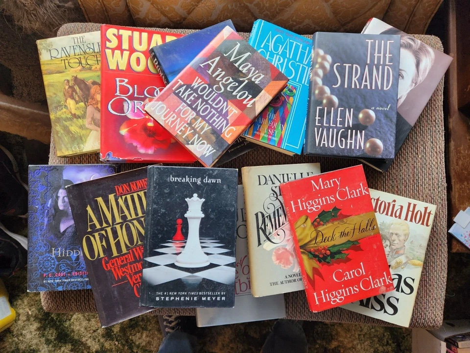 Modern Hardcovers You Choose Angelou Higgins Clark Shaw Christie Steel Clinton - Image 1 of 1