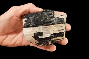 SCHWARZER TURMALIN QUARZ 4" 2 Pfund 1 Oz Rohgestein Mineral Probe Chakra Heilung - Bild 1 von 1