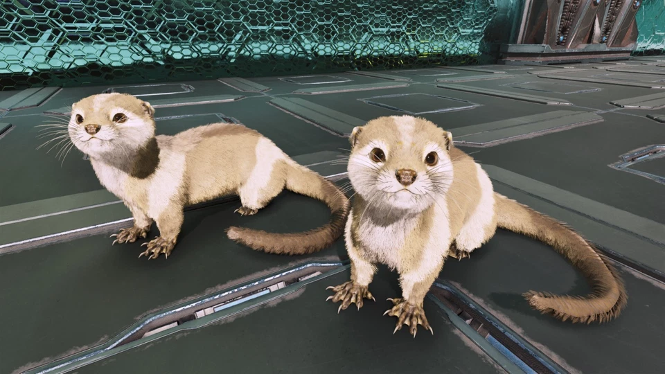 ⚡ARK Survival Ascended PvE PC/XBOX/PS5 ABERRANT OTTER TOP STATS 78 WEIGHT - Image 1 of 1