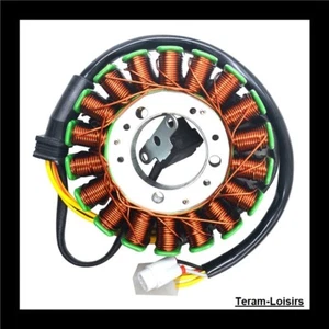 Stator Allumage pour Triumph Street Triple 675 R de 2008 à 2017 - Photo 1/5