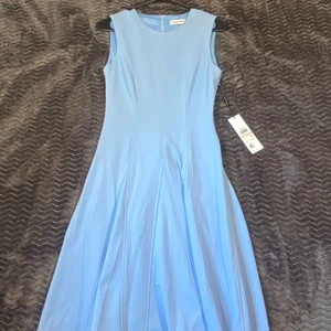 Calvin Klein ärmelloses hellblaues Fit & Flare Midikleid Damen Größe 2 - Bild 1 von 9