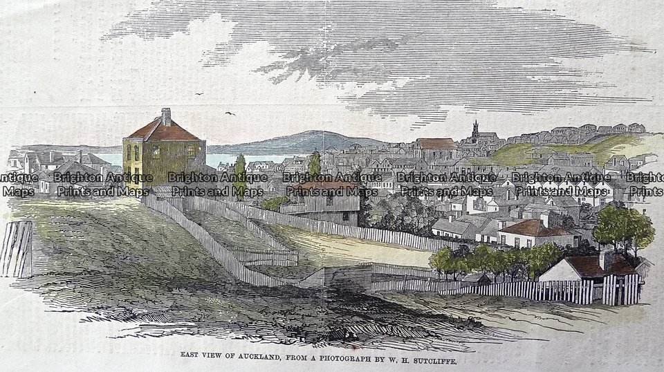 Antique Print 230-831 New Zealand - Auckland c.1865 New Zealand - Image 1 of 1