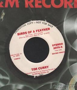 Hear 1978 Tim Curry Pop Rock EX 45 - Birds of a Feather (Stereo) b/w Same (Mono)