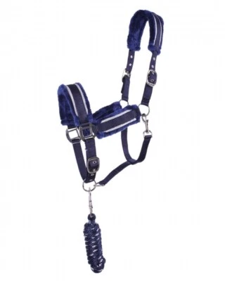 ARBO-INOX Halfterset Halfter-Set Halfter und Strick mit Polsterung QHP 5 Farben - Bild 1 von 4